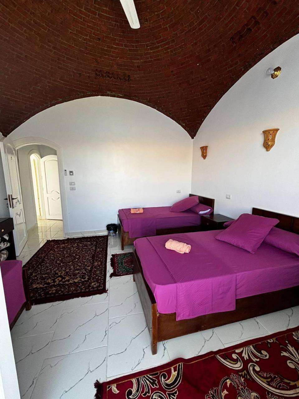 Nile View Guest House Asszuán Kültér fotó